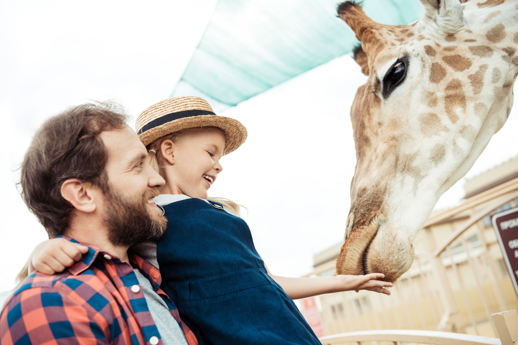 side-view-of-father-and-happy-little-daughter-feeding-giraffe-in-zoo.jpg